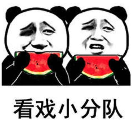 娱乐圈的瓜吃的瓜表情包,瓜表情包盘点